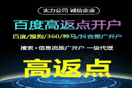 竞价广告赚钱之道：百度案例解析